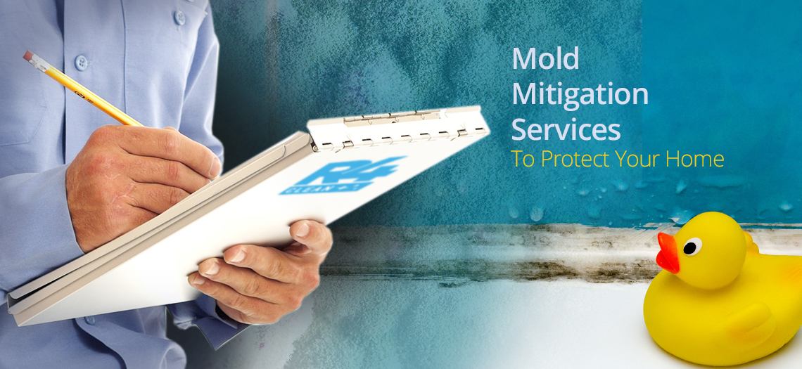 Certified Mold Specialist Gainesville (404) 4281255 The Best